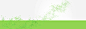 绿色,植物,健康,清新,背景墙,海报banner图库,png图片,网,图片素材,背景素材,3617566@北坤人素材