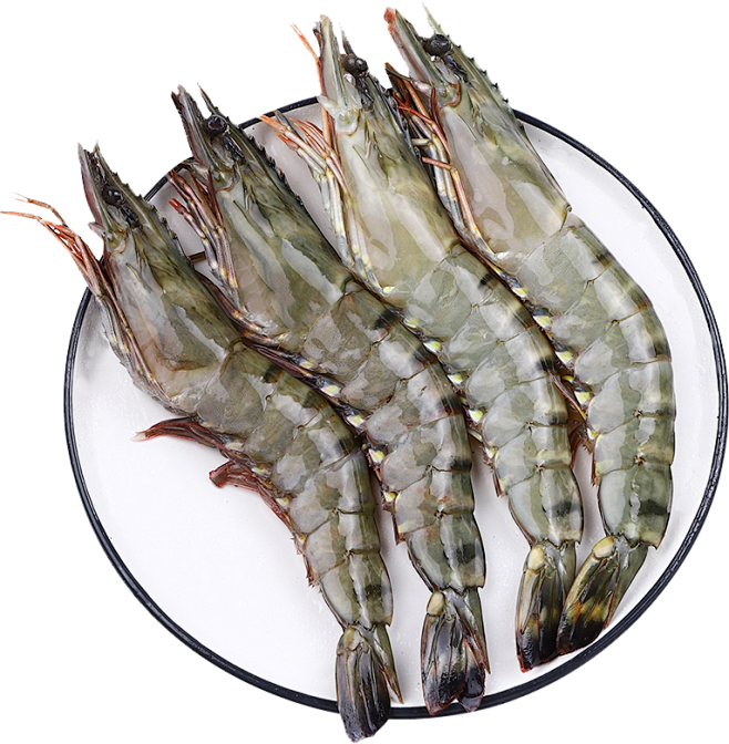 黑虎虾