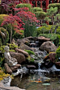 Japanese-inspired Gardens | An Asian-inspired garden makes a backyard a true retreat » Evansville ...: 