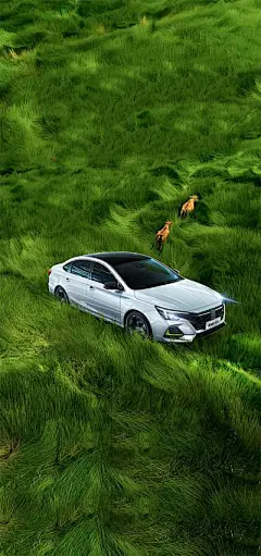 汽车×小满节气