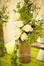 【绿 ▪ 意-结婚套餐】-拉斐尔外滩高端婚礼策划-大众点评网
