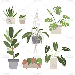 在花盆里放有室内植物的大花盘。城市丛林，家庭园艺。手绘矢量图以平面卡通风格.完美的海报，贴纸，印刷品