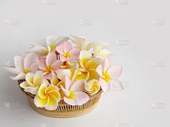 鸡蛋花花