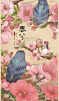 24节气之春分春天春季粉色水彩樱花插画花卉花朵图片_潮国创意