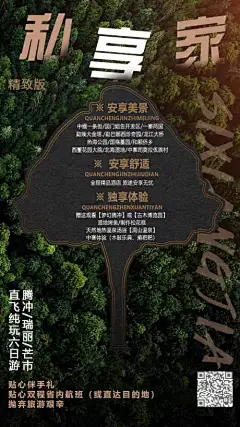 海报 旅游 私享家 森林 公园