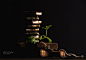Triple layaered chocolate pieces stack or tower with banch of fresh mint on black background by Anna Ivanova on 500px