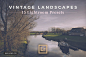 Lightroom Presets Vintage Landscapes 插件/软件 