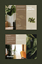 (16) Pinterest