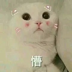 【图片】回复：【资源】可不可以给我一些可爱的表情包_表情包吧_百度贴吧