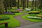 库肯霍夫花园（keukenhof flower gardens）1-2