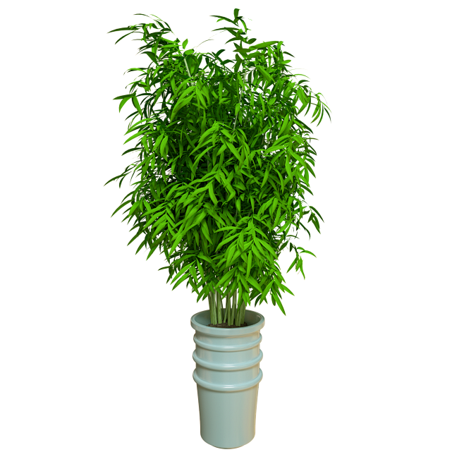 c4d素材 方形圆形 几何 植物 沙滩 ...