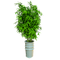 c4d素材 方形圆形 几何 植物 沙滩 IP角色 c4d 树叶 三维场景 KV 电商美工群:129134938 立体场景 c4d搭建 大促元素 电商立体场景 PNG 合成素材