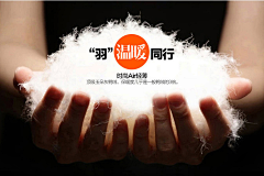 继续、沉默采集到加绒
