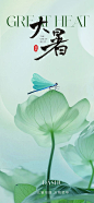 东方美学大暑节气海报-源文件
