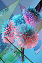 Flowers : A collection of flowers developed with Baillat Studio for Red Bull Music