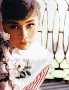 暖阁香箬采集到奥黛丽·赫本（Audrey Hepburn）