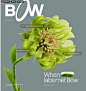 Brand identity and UI/UX for a healthtech startup Bow® :: Behance