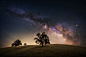 California Milky Way: The Edge of Perception : A collection of Night Sky Milky Way photographs taken in Santa Ynez California.