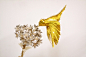 [#创意汇# 幸运鸟] 华丽的金色幸运鸟，哥伦比亚艺术家 Diana Beltran Herrera 最新作品欣赏！通过使用闪闪发光的金色纸张，艺术家将她的蜂鸟系列作品提高到了一个新的水平！飞行的蜂鸟与美丽的鲜花形成鲜明的对比，表现了自然界“动态”与“静态”的和谐之美，作品制作得非常精致，充满趣味。金色的鸟其实还带有一个特殊的含义，在哥伦比亚，黄金是一种很重要的金属材料，在旧时代人们曾将黄金与太阳相联系，象征着繁荣和富裕，世间万物都在阳光的沐浴下生长！金色的蜂鸟不断地重复着触......