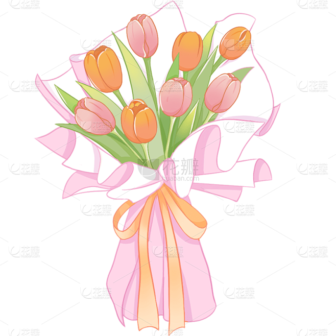 植物通用插画郁金香花束花朵元素素材