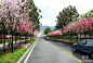 现代城市道路SU模型下载【ID:1127690488】