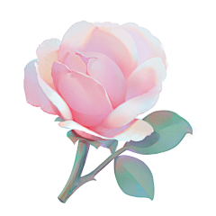 桑和采集到A插画色彩
