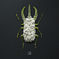 Natura: New Organic Animal Artworks by Raku Inoue | Inspiration Grid : Japanese artist Raku Inoue creates mesmerizing artistic arrangements of animals and insects using petals, flowers, plants and other organic elements. You can see his previous…