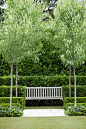 Classic formal design by Peter Fudge. For harsh Australian coastal conditions you can also get this look by substituting with hardy natives - Tristaniopsis laurina LUSCIOUS Pbr trees and Acmena smithii FIRESCREEN Pbr hedges.