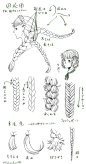 画麻花辫的技巧

推主Schwarzbraun00 ​​​​
