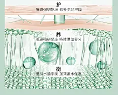 妮雅丝益生菌乳液控油祛痘混油皮痘肌化妆护肤品清爽补水保湿秋冬-tmall.com天猫