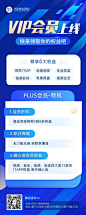 IT互联网平台会员权益技术服务展示