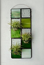 Stained Glass Panel Air Plant Holder Green Quilted by glassetc by amelia