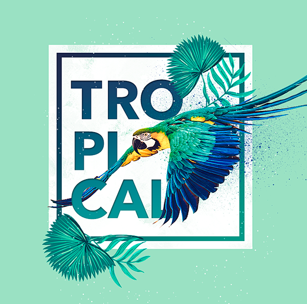 Tropical : Estampa