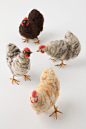 For Paula? Felted Chickens - Anthropologie.com: