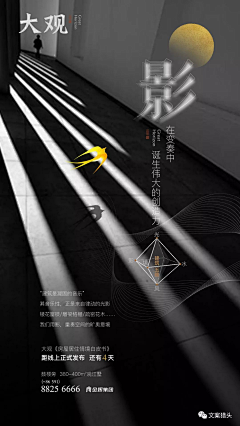 吃小鱼干的猫采集到前宣