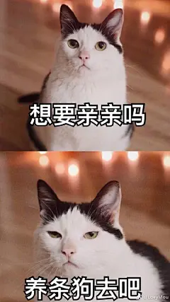 萌萌 超话里蹲一个表情包 就是陈萌的女人永不认输那个捏小拳头的表情包 有没有小萌黑有图的啊 我来空手套白图 ​​​​