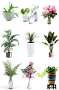 桌面装饰植物盆栽摆设免扣高清png