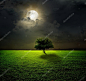 晚上和月亮在绿色的原野上