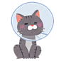 宠物医生 生病的猫狗 猫狗做手术  医疗健康 医院 看病 治疗 卡通 插画 免扣 素材 手绘 png2917