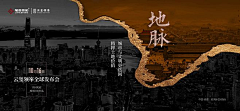 周💪日天采集到金牛