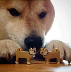 表情包模板