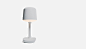 Container by Alex Chow : Container table light designed by Alex Chow for GantriLighten up your home with the friendly poppy design. The clever contours of the lamp base lets you store personal items such as keys and letters.