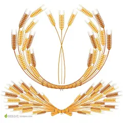 金黄色麦穗小麦矢量图片设计素材