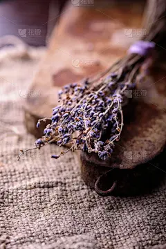 厚木板,平衡折角灯,画布,纺织品,古典式,垂直画幅,式样,干花,戏剧性的天空,生闷气的