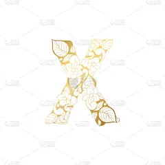 黄金,洋葱花,字体,字母,英文字母X,白色,花边,式样,华丽的,性格