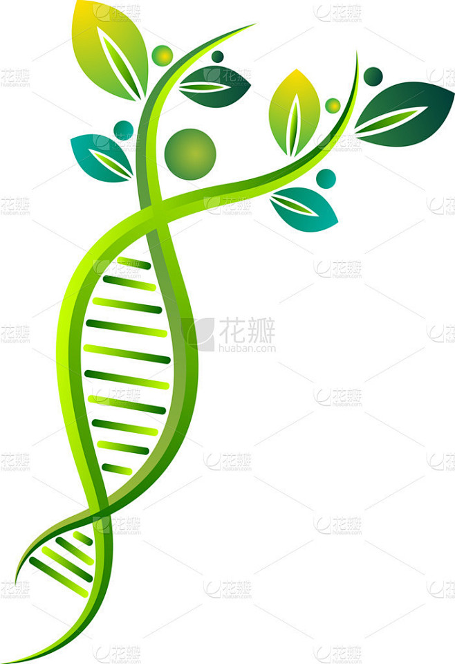 生态 Dna 标志 