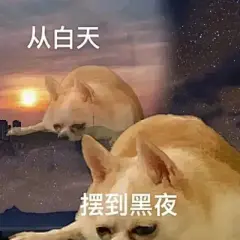 搞笑表情包 - 高清图片，堆糖，美图壁纸兴趣社区