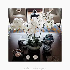 有着“阅尽郑东唯紫园”诉求的郑州名门紫园。“紫”在古老中国是非常稀有的颜色，当时只有贵族、皇家才能穿着这种颜色的服饰，代表着尊贵和富有。与“紫”有关的成语“姹紫嫣红”、 “紫气东来”也无不代表着吉祥和富足。 ??? ????@北坤人素材