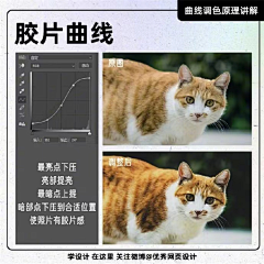KillerEleven采集到技法篇【各工具运用】
