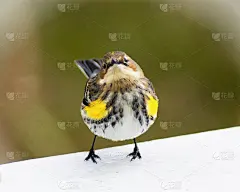 嗯?